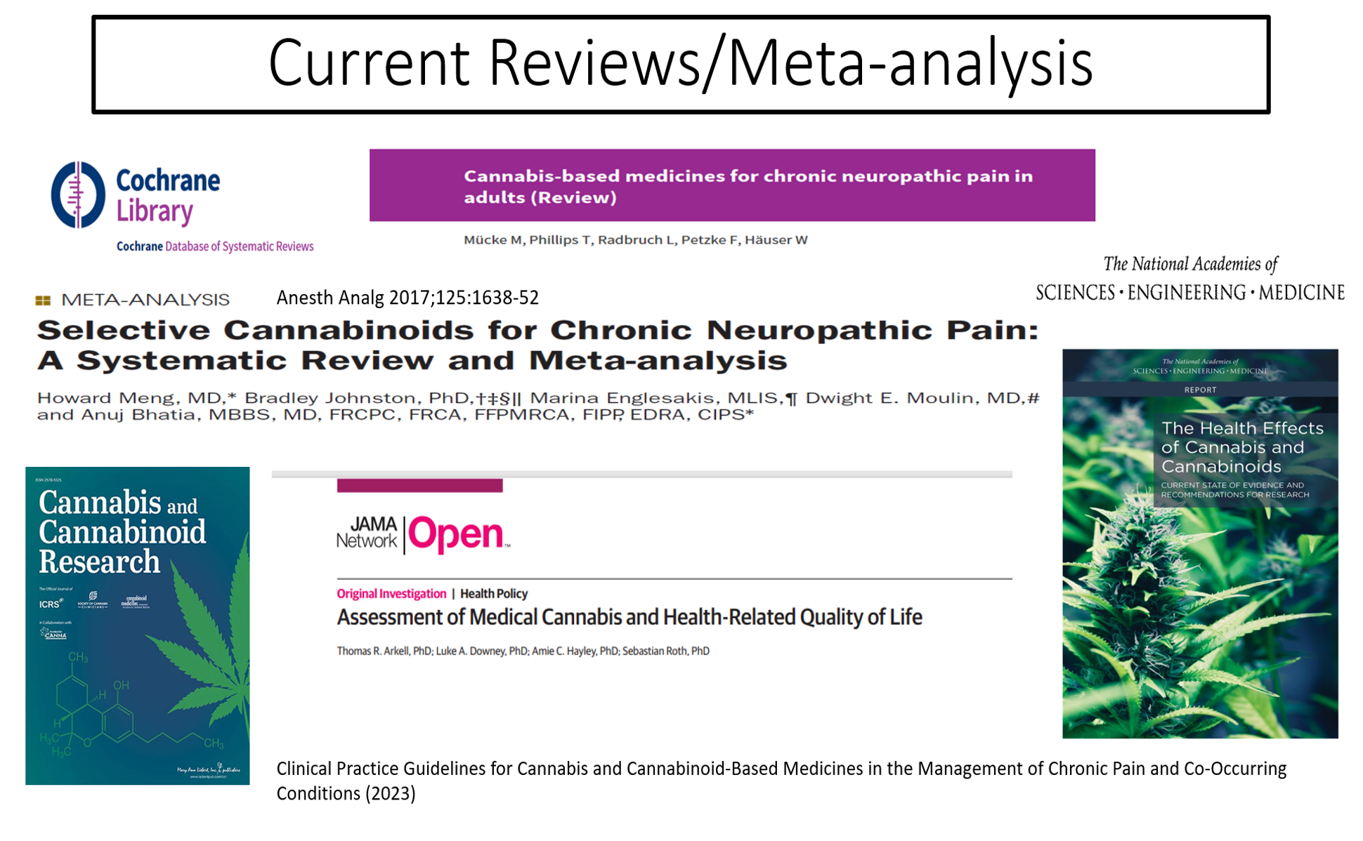 Cannabis For Pain Management | Skin Bones CME